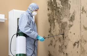 Best Mold Odor Removal Services  in Arlington, OH